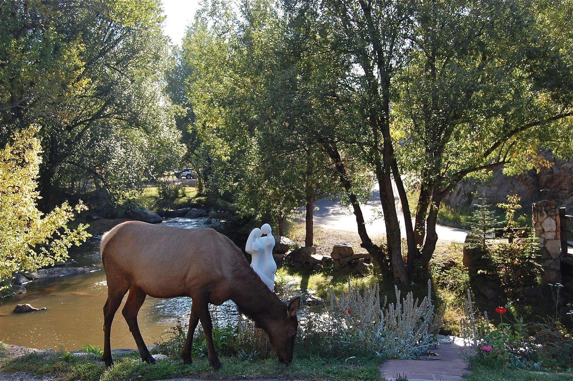 Highland Haven Creekside Inn Евергрін Екстер'єр фото